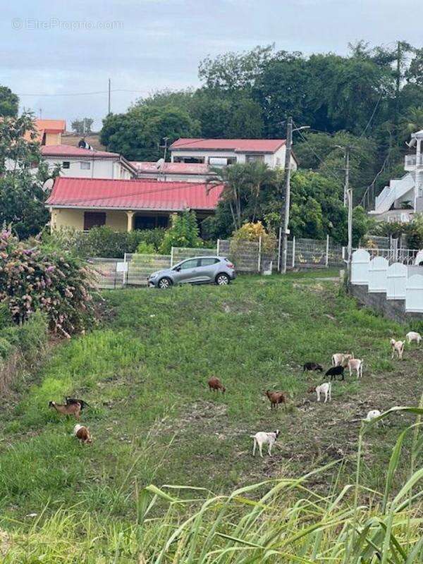 Terrain à LE VAUCLIN