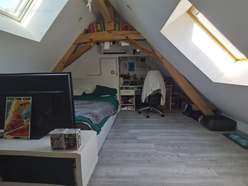 Maison à CHOUZE-SUR-LOIRE