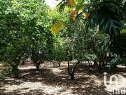 Photo 1 - Terrain à LE TAMPON