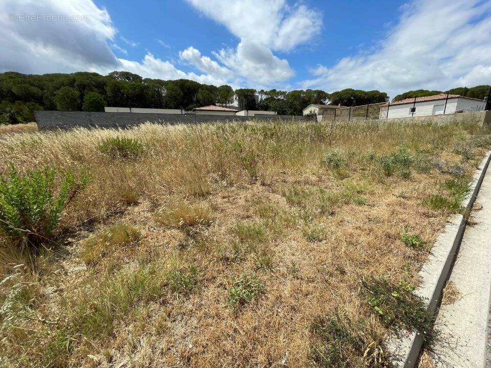 Terrain à VILLEDUBERT