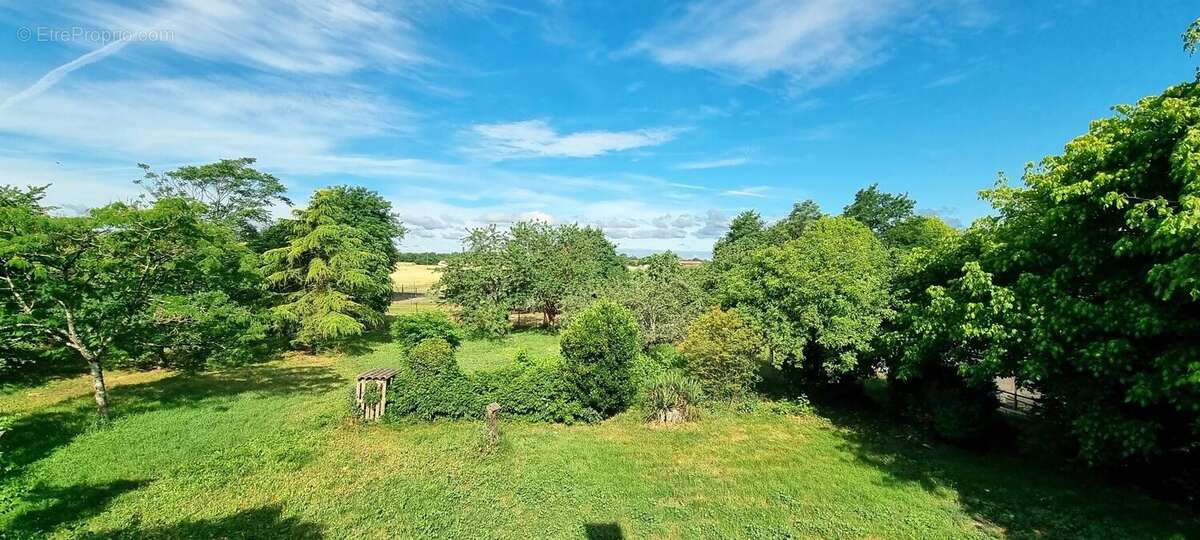 Ensemble immobilier maison de 265 m² hab avec dépendances  sur  1 Ha - photo 4