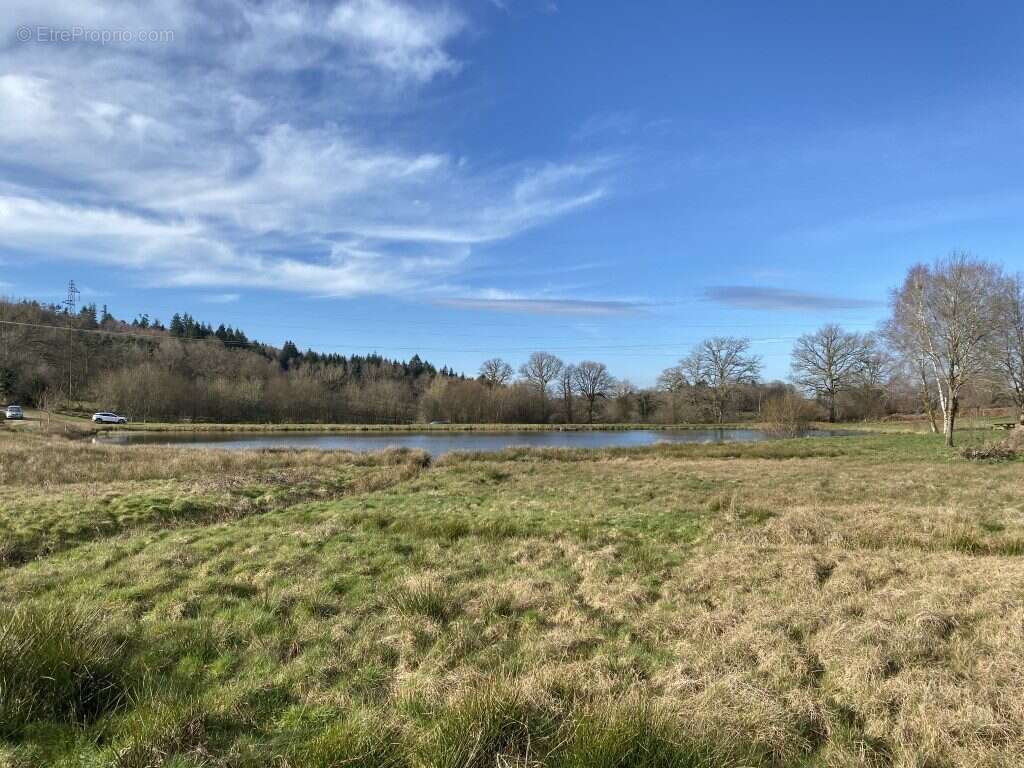 Terrain à NEUVIC-ENTIER