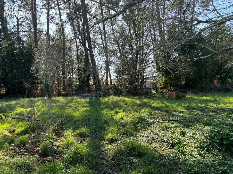 Terrain à LANTON