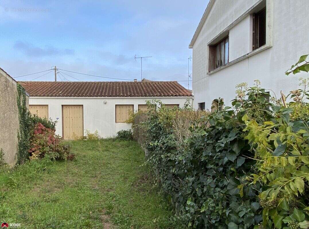 Commerce 342 m² à Lucon  - photo 2