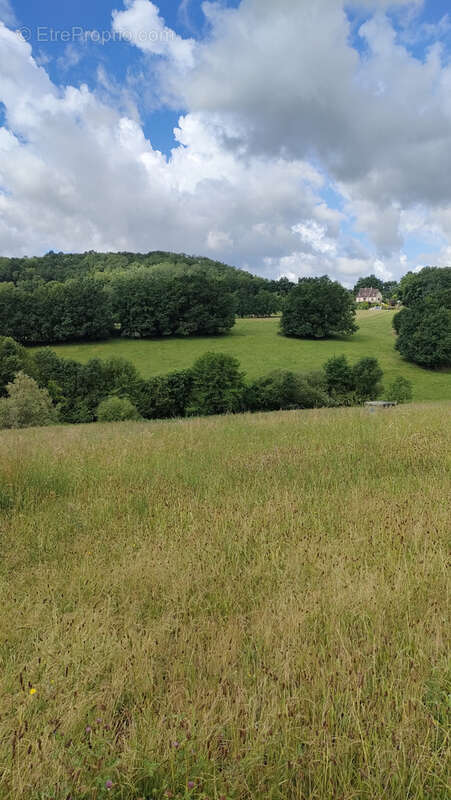 Terrain à SAINT-SOLVE