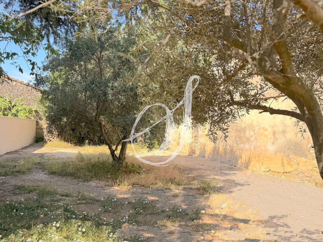 Chai à réhabiliter sur 800 m2 de terrain au coeur de Pignan - photo 10