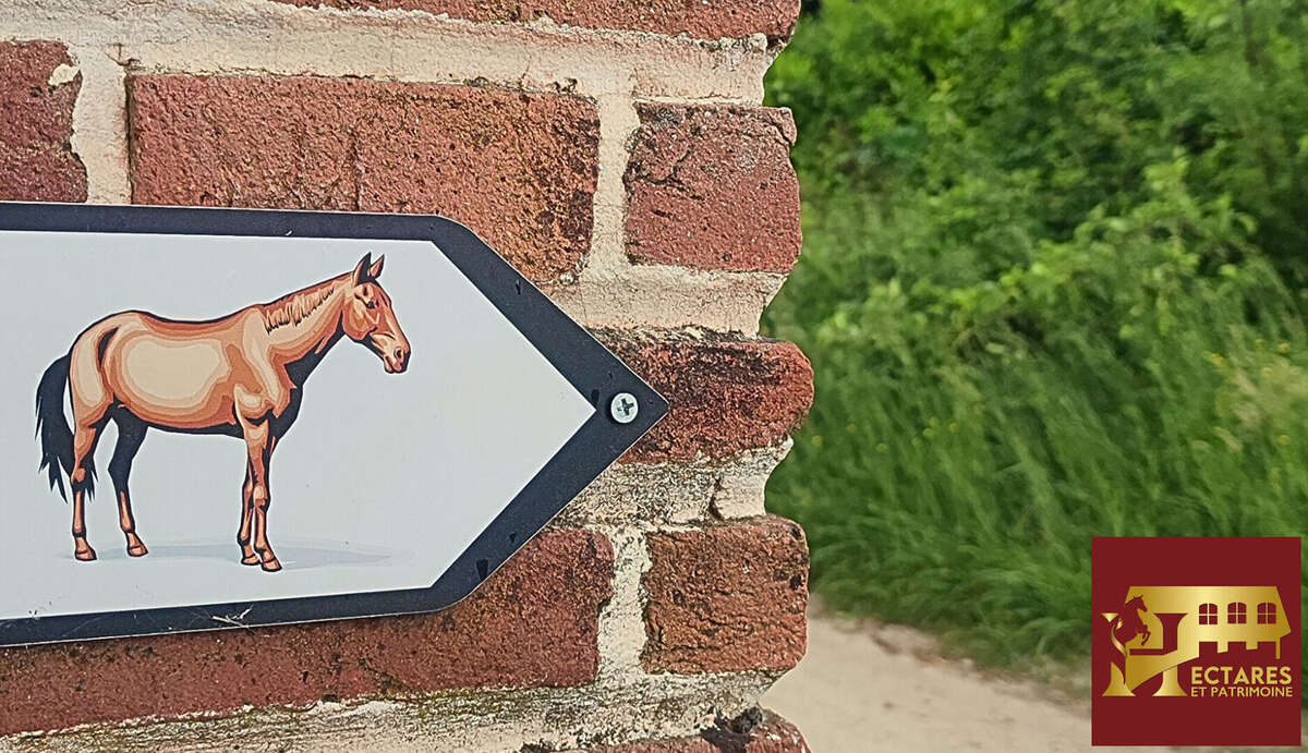 Maison à CHANOZ-CHATENAY