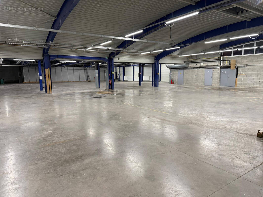 Commerce à YSSINGEAUX