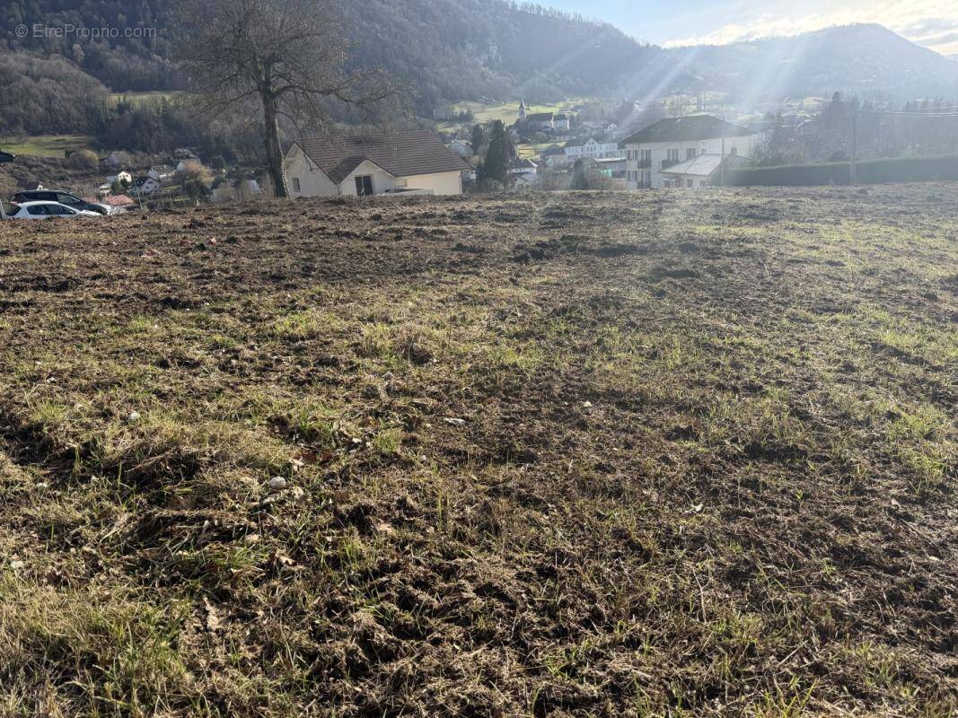 Terrain à SAINT-BERON