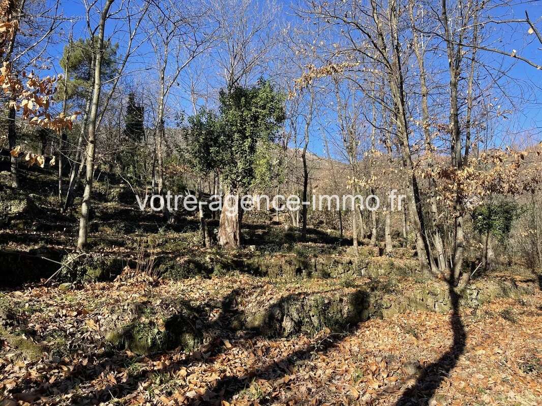 Terrain à COARAZE