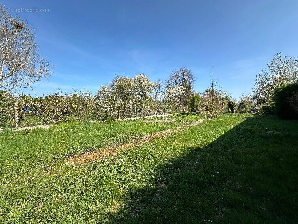 Maison à LA FERTE-GAUCHER