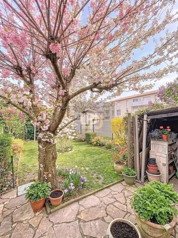 Maison à MURET