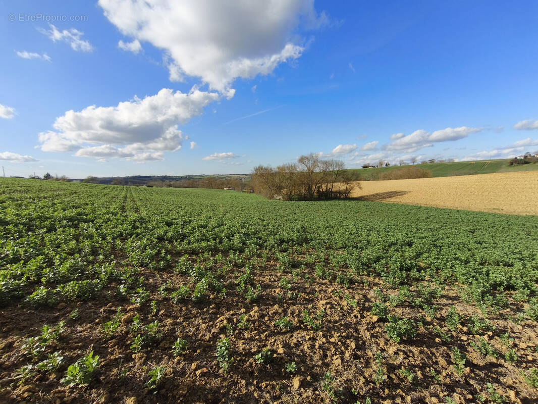 Terrain à GIMONT