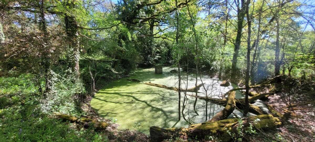 Maison à LABOUTARIE