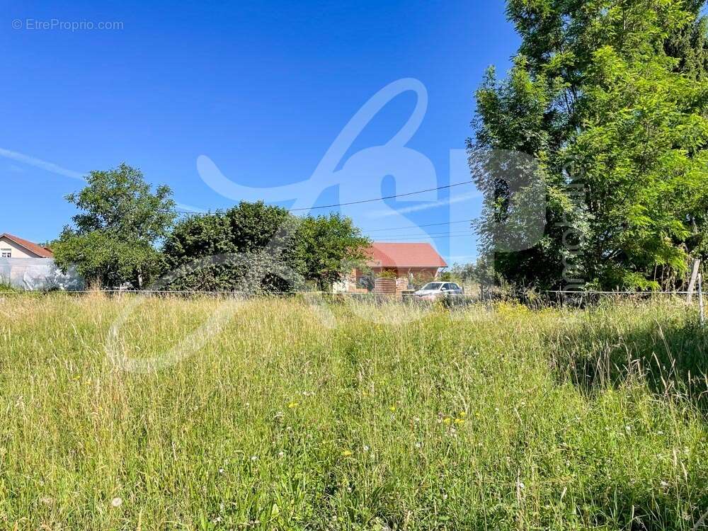 Terrain viabilisé (Lot 2) - Terrain à PANISSAGE