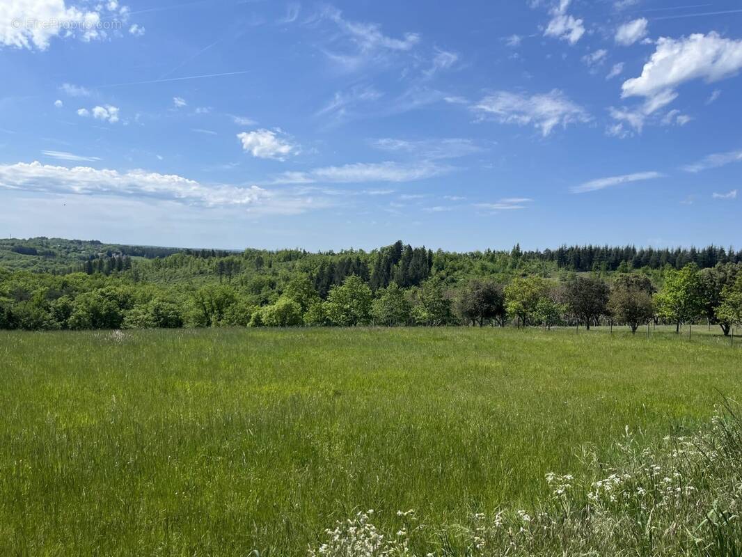 Terrain à LE ROC
