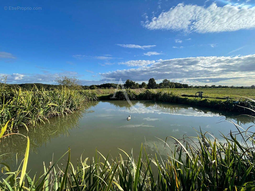 Maison à NOUANS-LES-FONTAINES