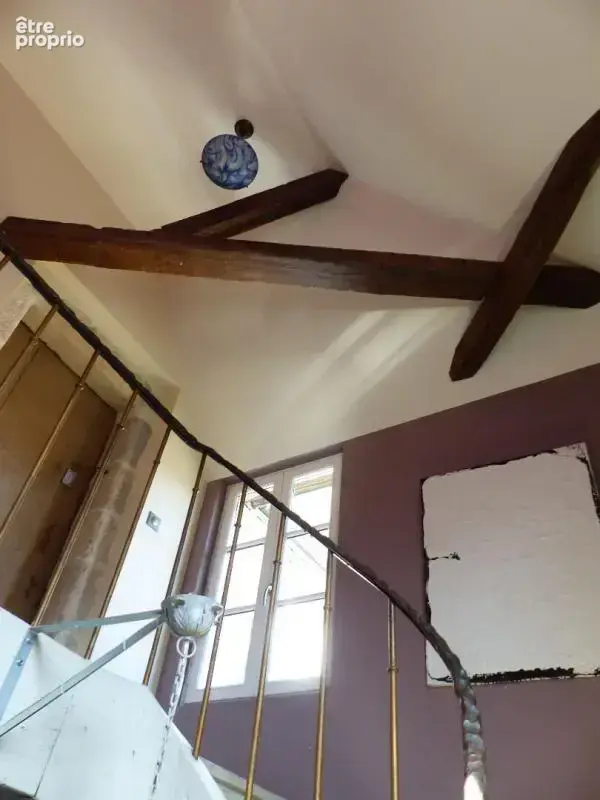 Viager occupé maison d'artiste chatillon sur loire - photo 16