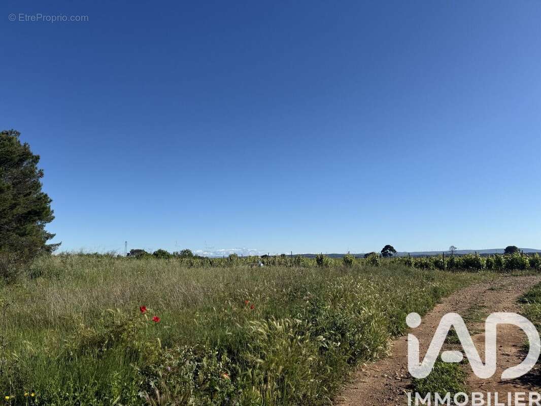 Terrain 8424 m² à Pinet  - photo 3