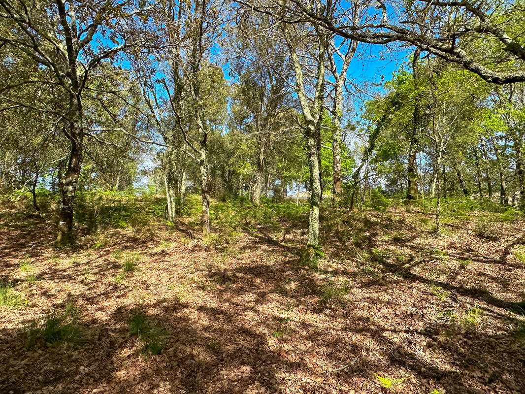 Photo 1 - Terrain à BIAS