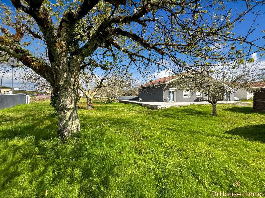 Maison à SAINT-VINCENT-DE-PAUL