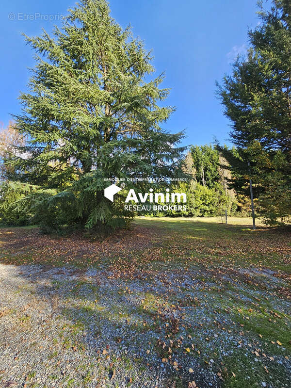 Commerce à LES BRULAIS