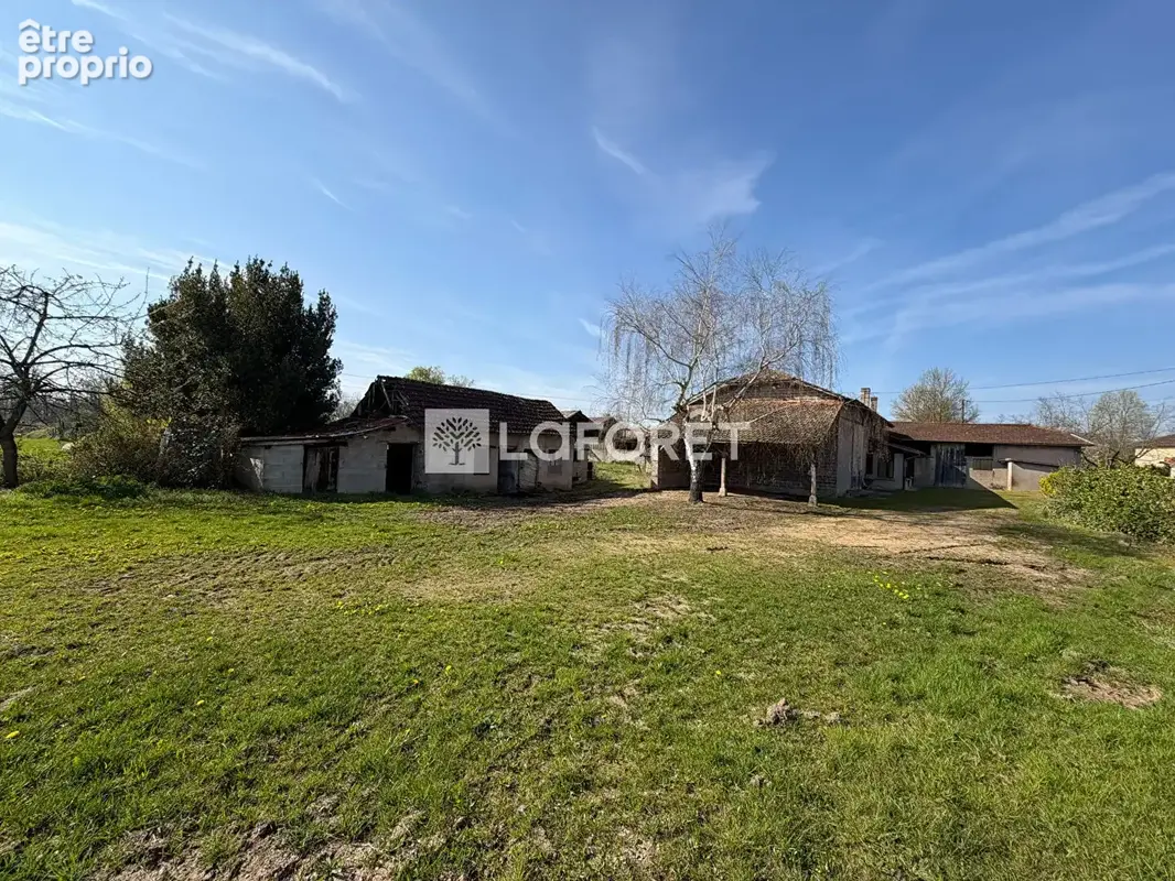 Corps de ferme à vendre Saint Jean Sur Veyle 4 pièce(s) 420 m2 - photo 15