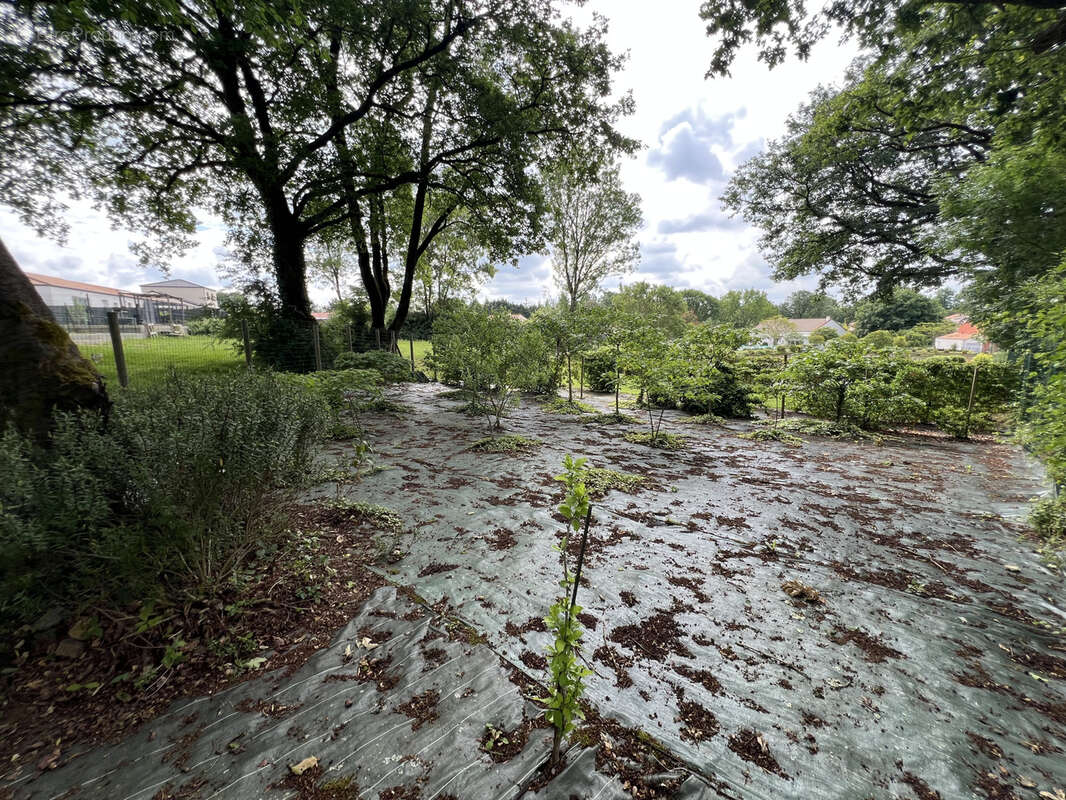 Terrain à LA FERRIERE