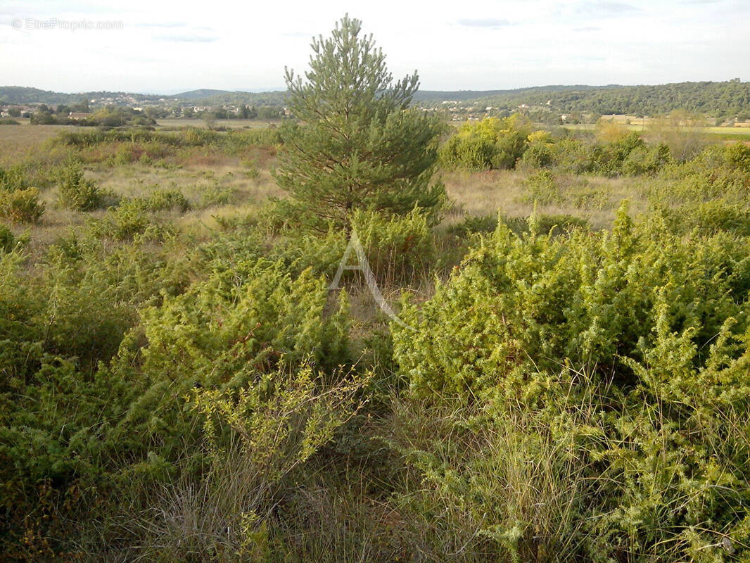 Terrain à SAINT-JULIEN