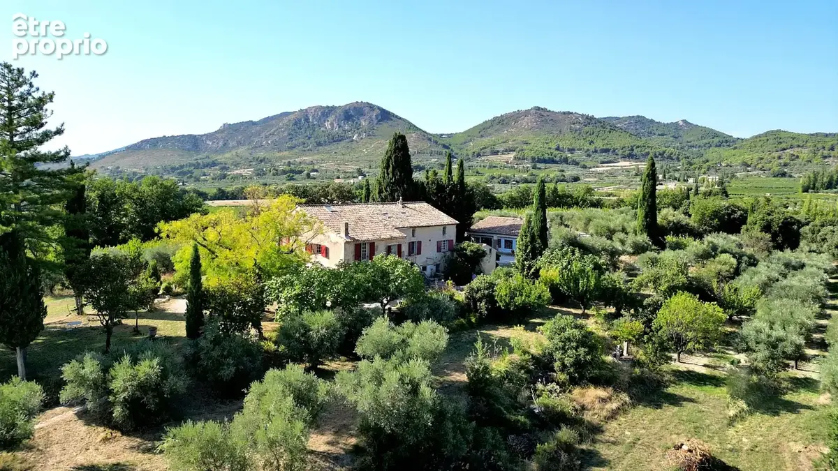 Demeure oliviers verger et vignes - photo 3