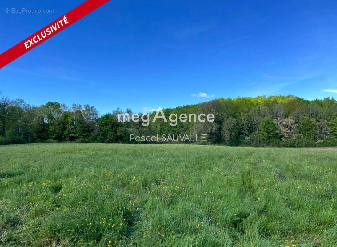 Terrain à CAMPSEGRET