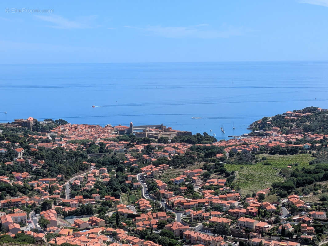 Terrain à COLLIOURE