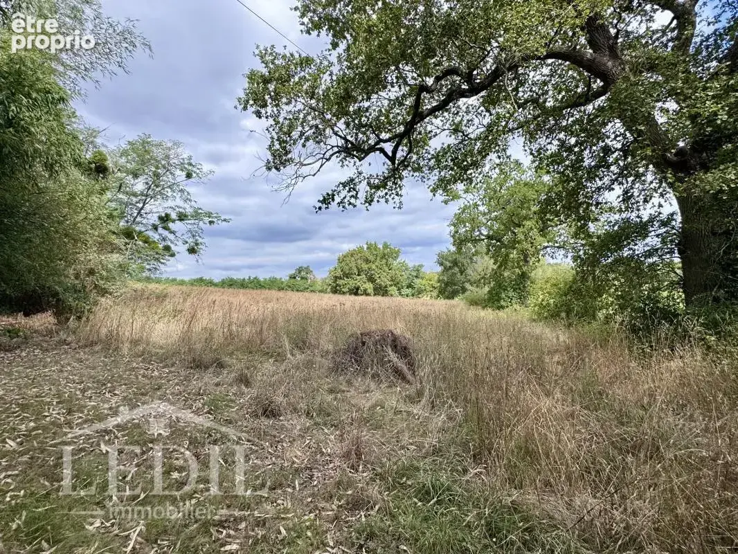 Propriété de caractère sur 2,5 ha avec vue, deux habitations et dépendances - photo 10