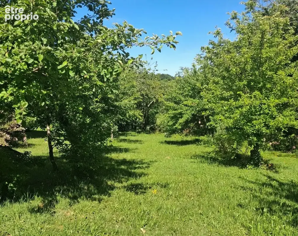 Terrain à VOUILLE