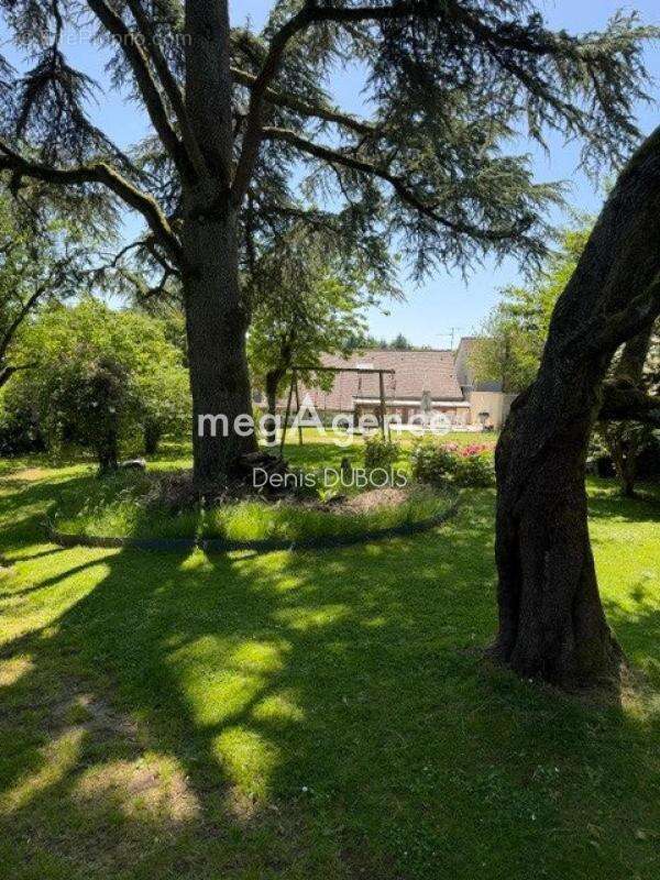 Maison en pierre 4 chambres - photo 16