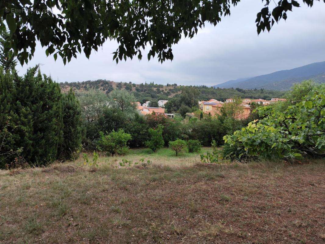 Terrain constructible avec vue sur les Albères - photo 7