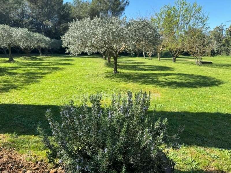 Maison à EYGALIERES