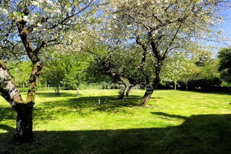 Entre CLOYES sur Le Loir et DROUÉ, Longère à vendre 4 pièces RUAN SUR EGVONNE (41) - photo 11