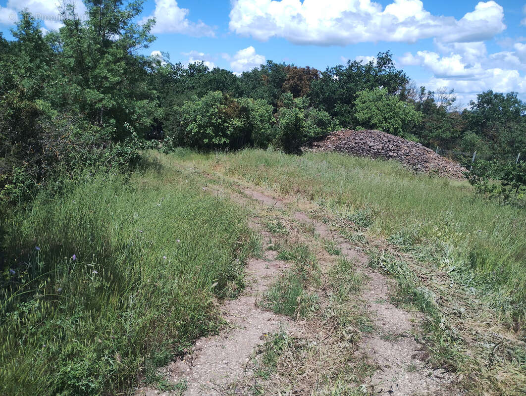 Vends terrain agricole et de loisirs 15 929 m2 - 34800 La Coste - photo 7