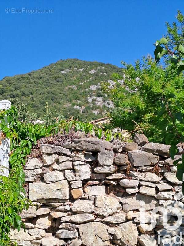 Photo 6 - Maison à SAINT-HIPPOLYTE-DU-FORT