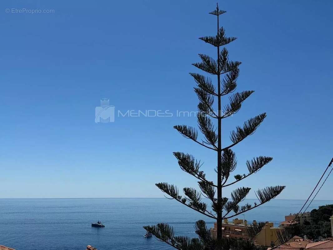 Villa privée frontière de monaco cap d ail - photo 9
