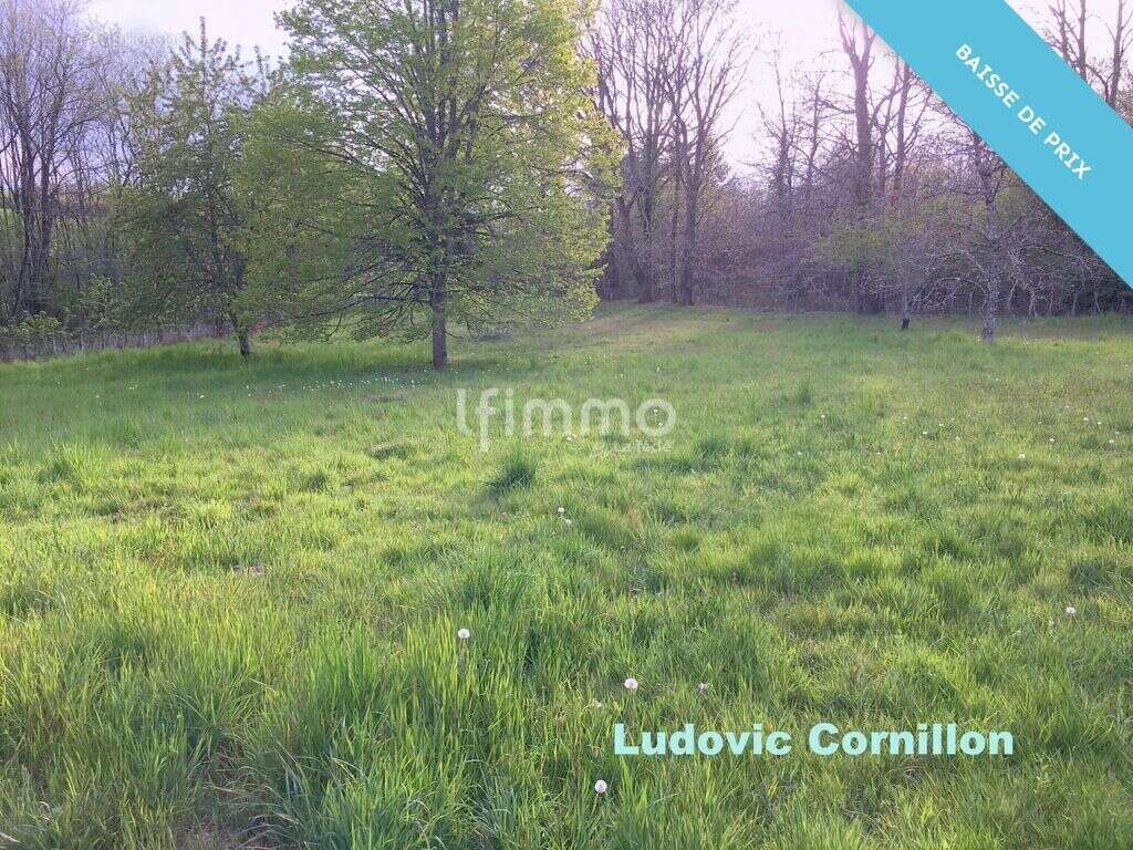 Maison à la campagne : 119m2, granges, 1.5ha - photo 28