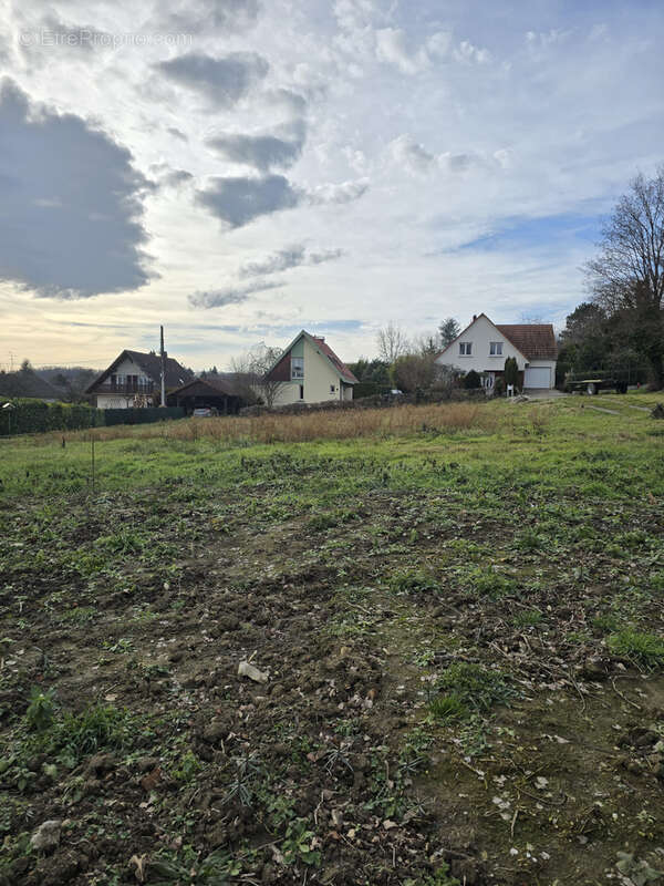 Terrain à ESCHENTZWILLER
