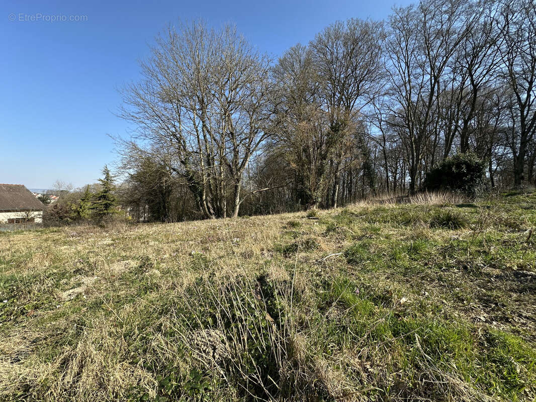 Terrain à VERZY