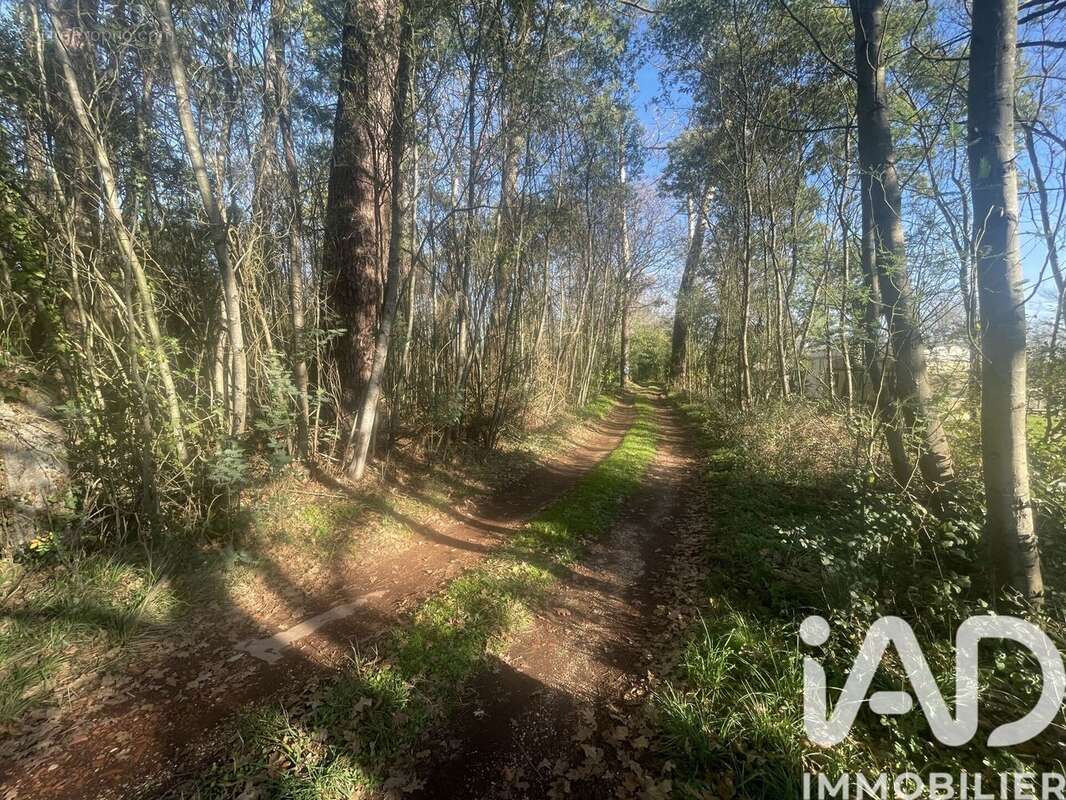 Photo 3 - Maison à GUJAN-MESTRAS