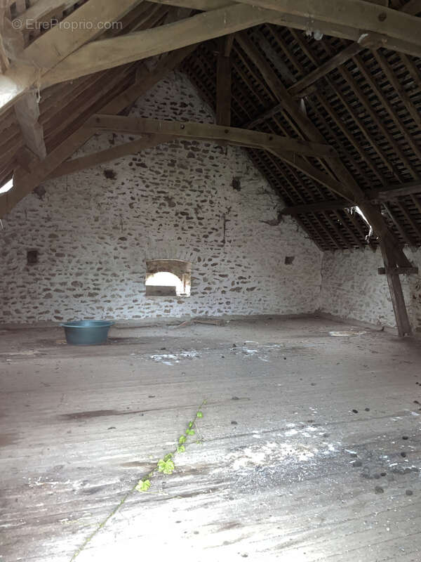 Maison à LA CHAPELLE-AU-RIBOUL