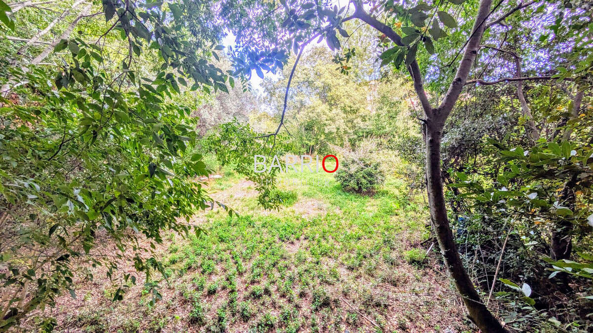 Terrain à LAROQUE-DES-ALBERES