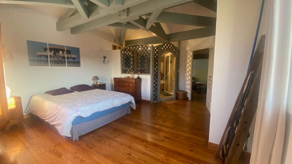 Maison à MONSEGUR