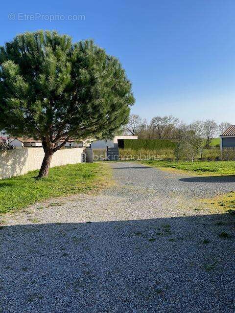 Maison plain pied Faye sur Ardin - photo 17