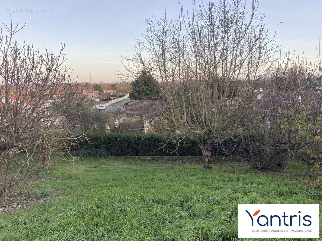 Terrain à FROUZINS